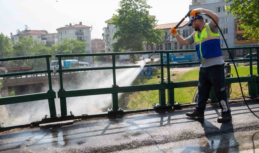 BURSA BÜYÜKŞEHİR BELEDİYESİ, DÜNYA