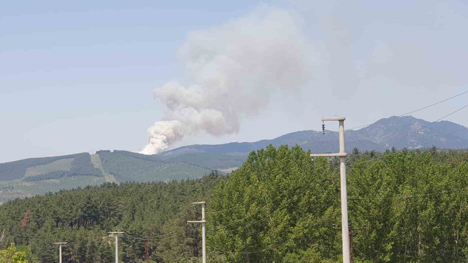 Bursa’da orman yangını…Uçaklar ve helikopterler sevk edildi