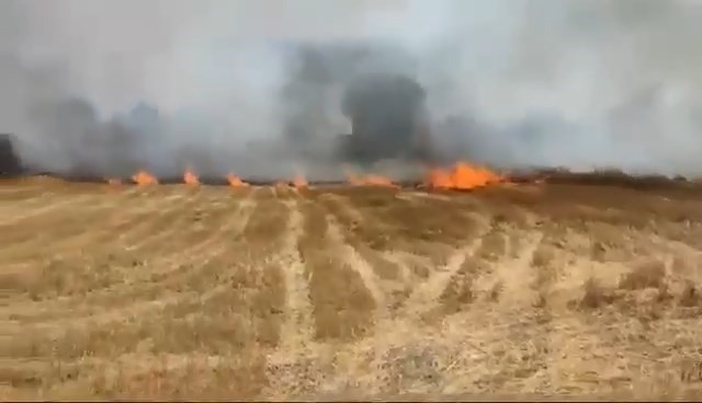 Büyükorhan’daki anız yangını korkuttu