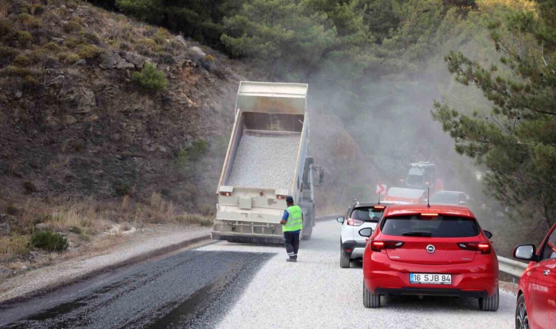 MUĞLA GENELİNDE SORUMLULUK ALANINDA