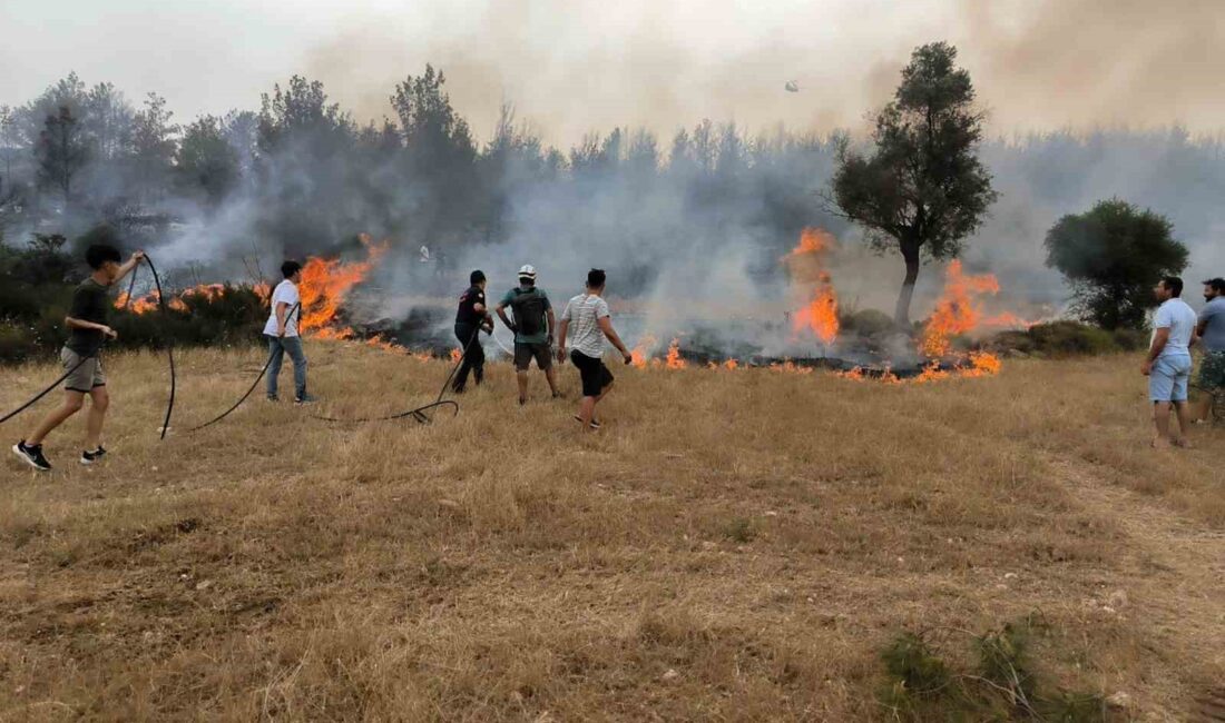 MUĞLA BÜYÜKŞEHİR BELEDİYESİ ARPA