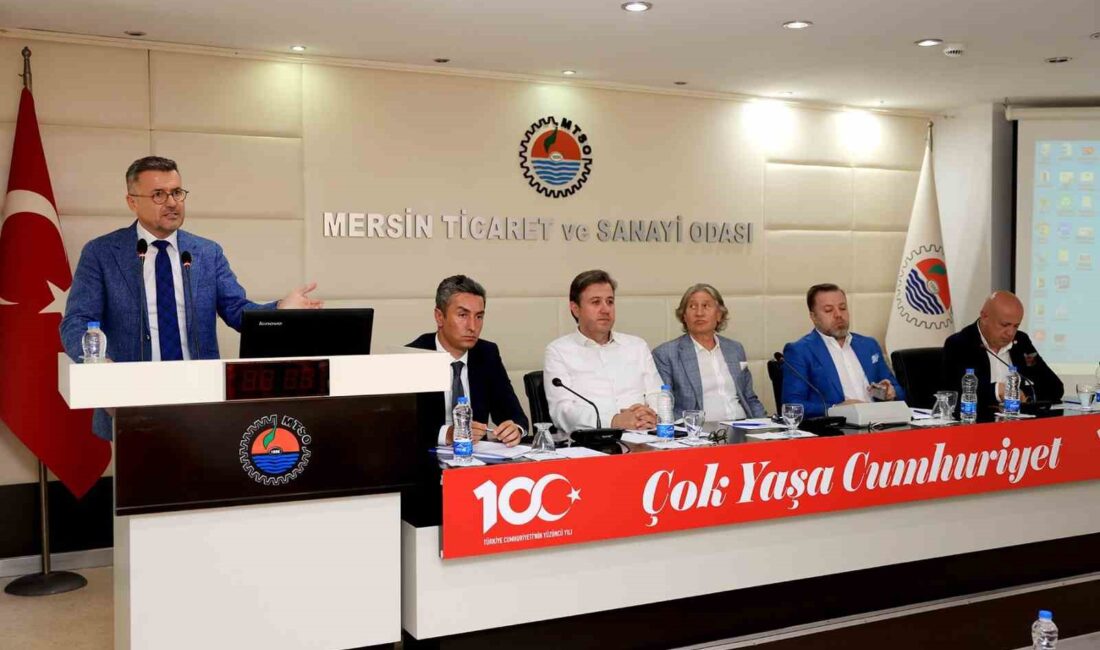 MERSİN TİCARET VE SANAYİ