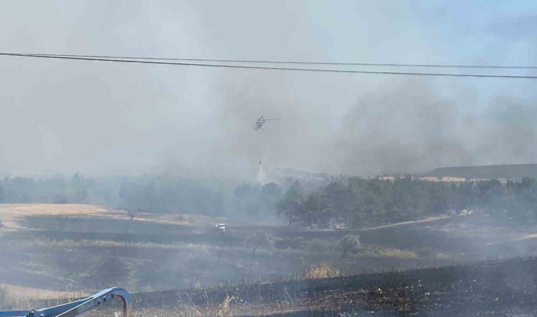 ÇANAKKALE’DE TARIM ARAZİSİNDE BAŞLAYAN