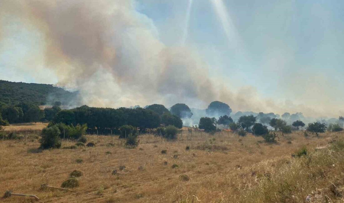 ÇANAKKALE'NİN EZİNE İLÇESİNDE ÇÖPLÜKTE