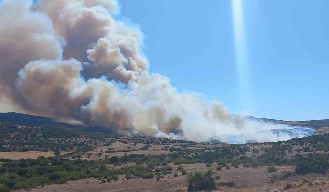 ÇANAKKALE'NİN EZİNE İLÇESİNDE ÇÖPLÜKTE