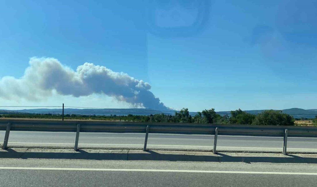 ÇANAKKALE'NİN ECEABAT İLÇESİNDE ORMANLIK