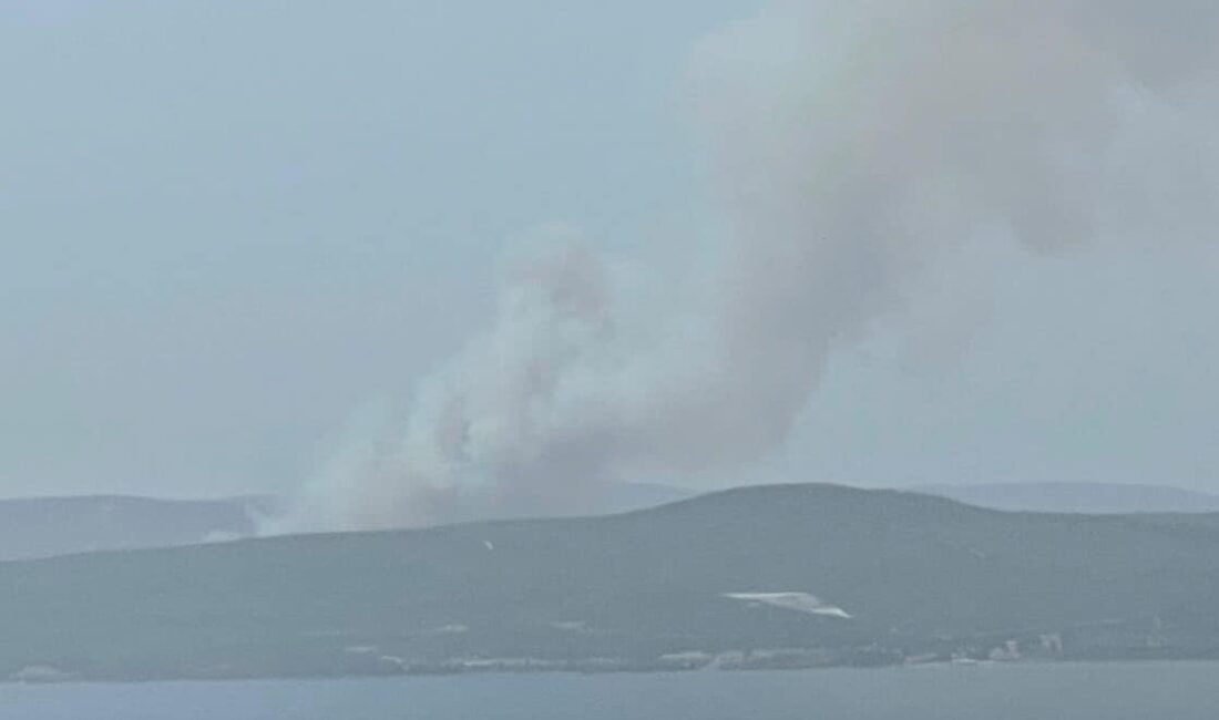 ÇANAKKALE’NİN ECEABAT İLÇESİNDE ORMANLIK