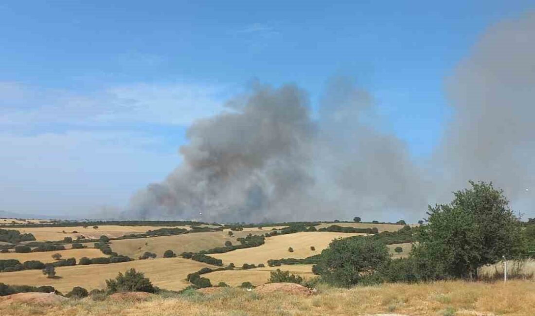 ÇANAKKALE'NİN EZİNE İLÇESİNDE BAŞLAYAN