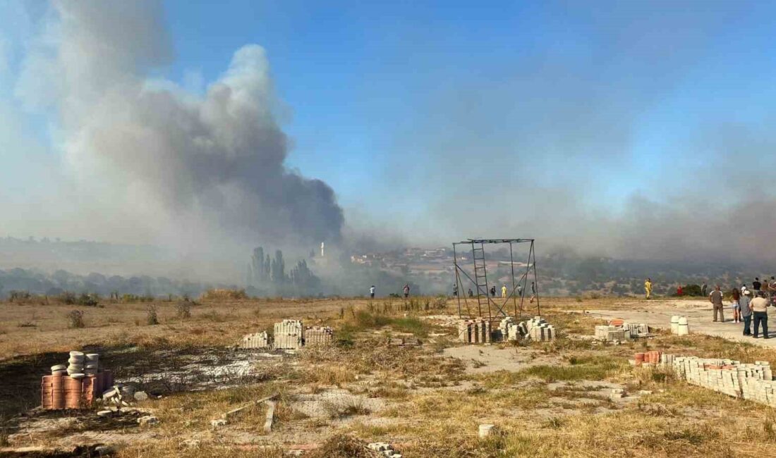 ÇANAKKALE'NİN EZİNE İLÇESİNDE ÇÖPLÜKTE