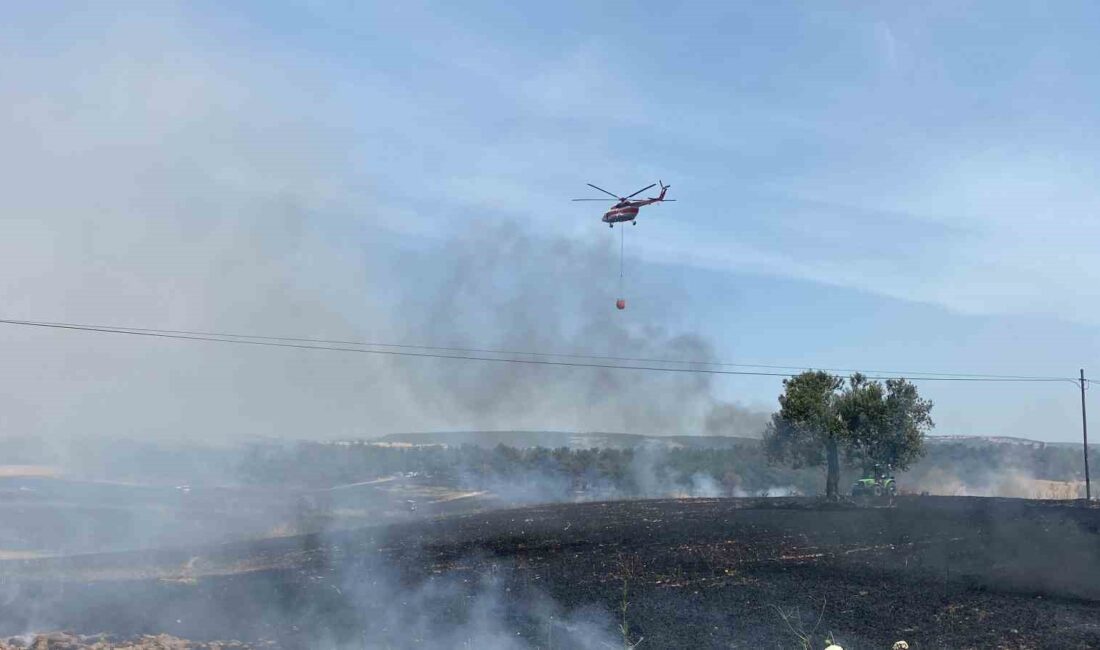 ÇANAKKALE'DE TARIM ARAZİLERİNDE BAŞLAYAN