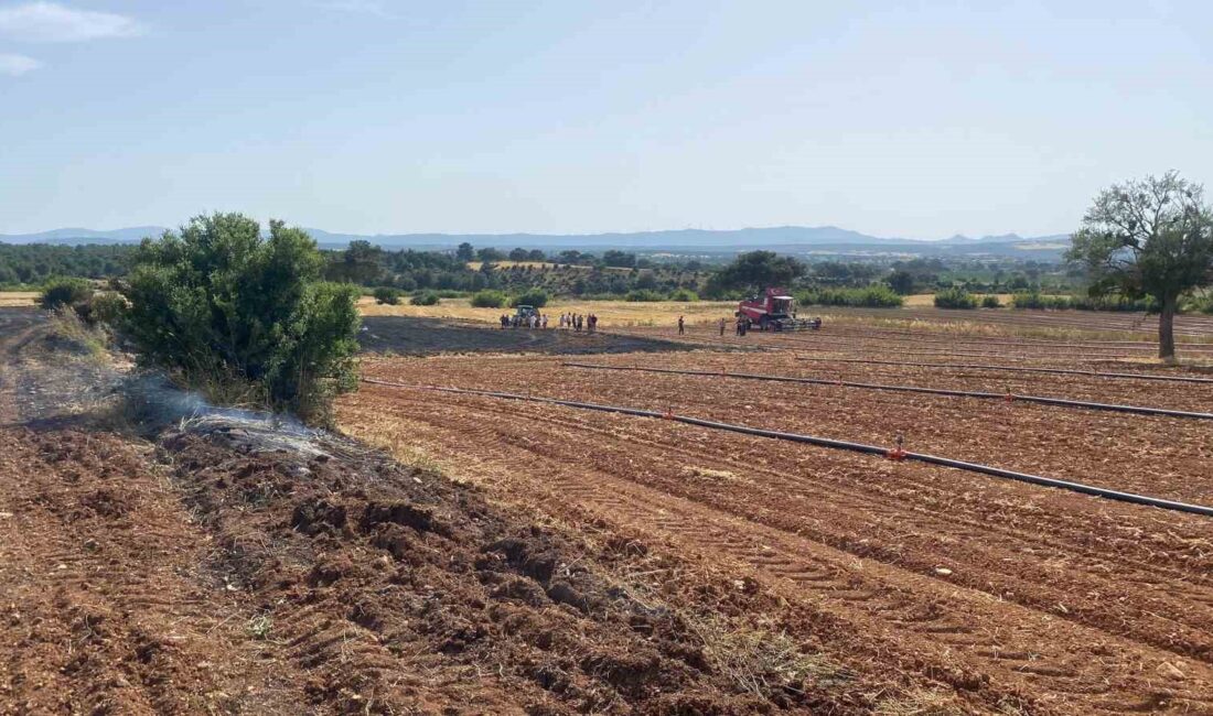 ÇANAKKALE'NİN BAYRAMİÇ İLÇESİNDE, ZİRAAT