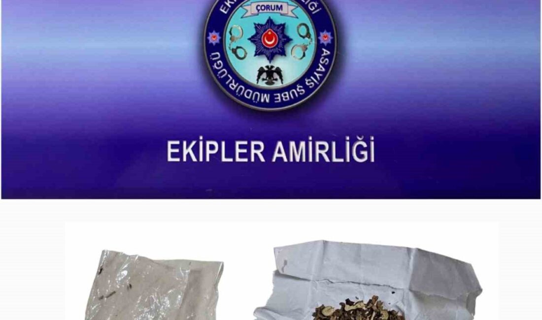 ÇORUM’DA POLİS EKİPLERİNCE GERÇEKLEŞTİRİLEN