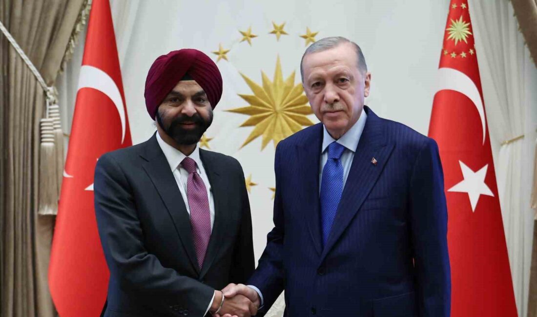 CUMHURBAŞKANI RECEP TAYYİP ERDOĞAN, DÜNYA BANKASI BAŞKANI AJAY BANGA'YI KABUL