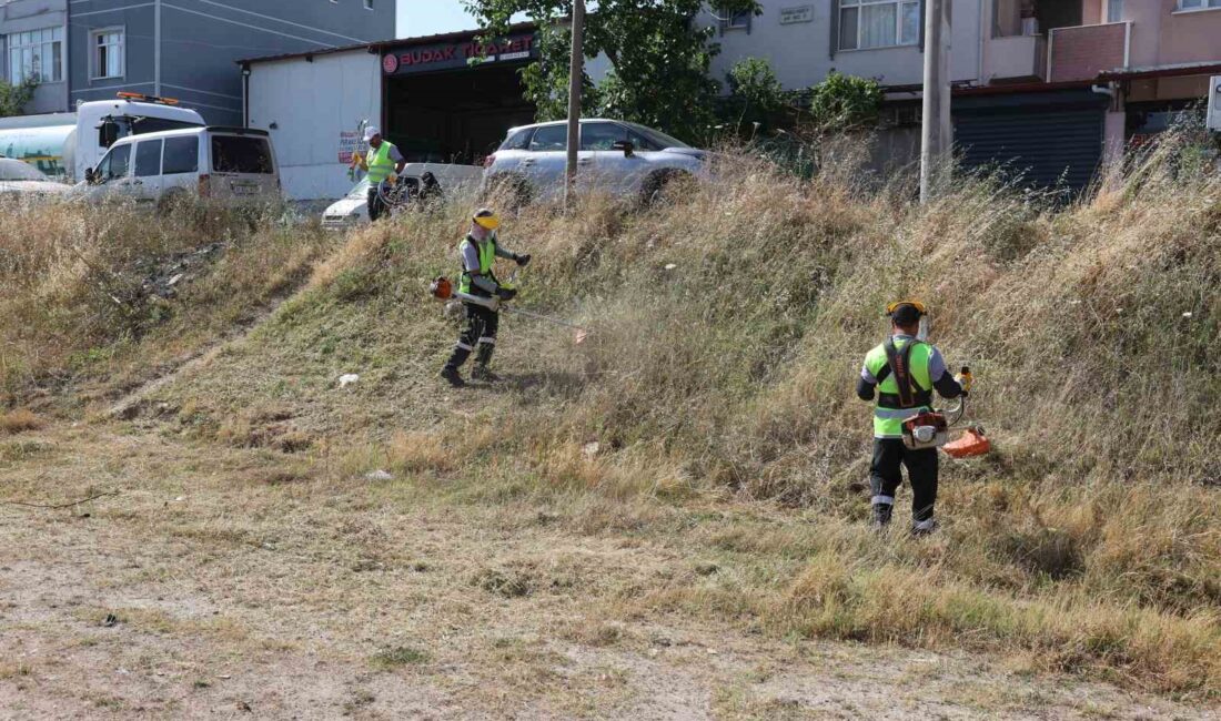 DARICA'DA SAHA MÜDÜRLÜKLERİNDEN OLUŞAN