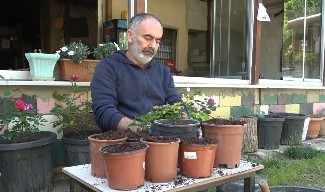 MUŞ’TA ÇAY OCAĞI İŞLETEN