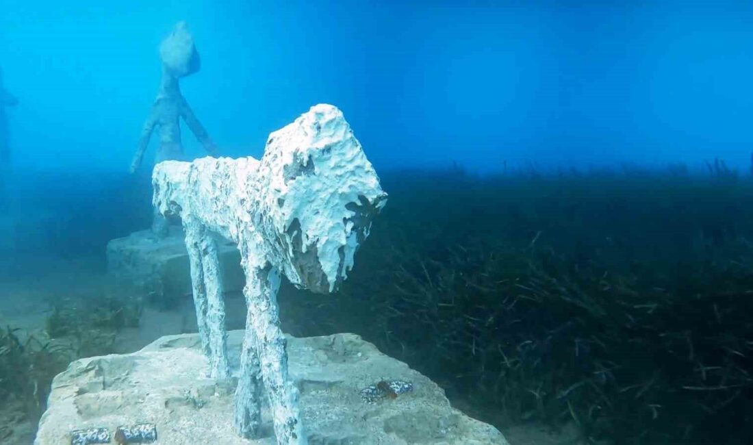 MUĞLA'NIN BODRUM İLÇESİNDE DENİZ