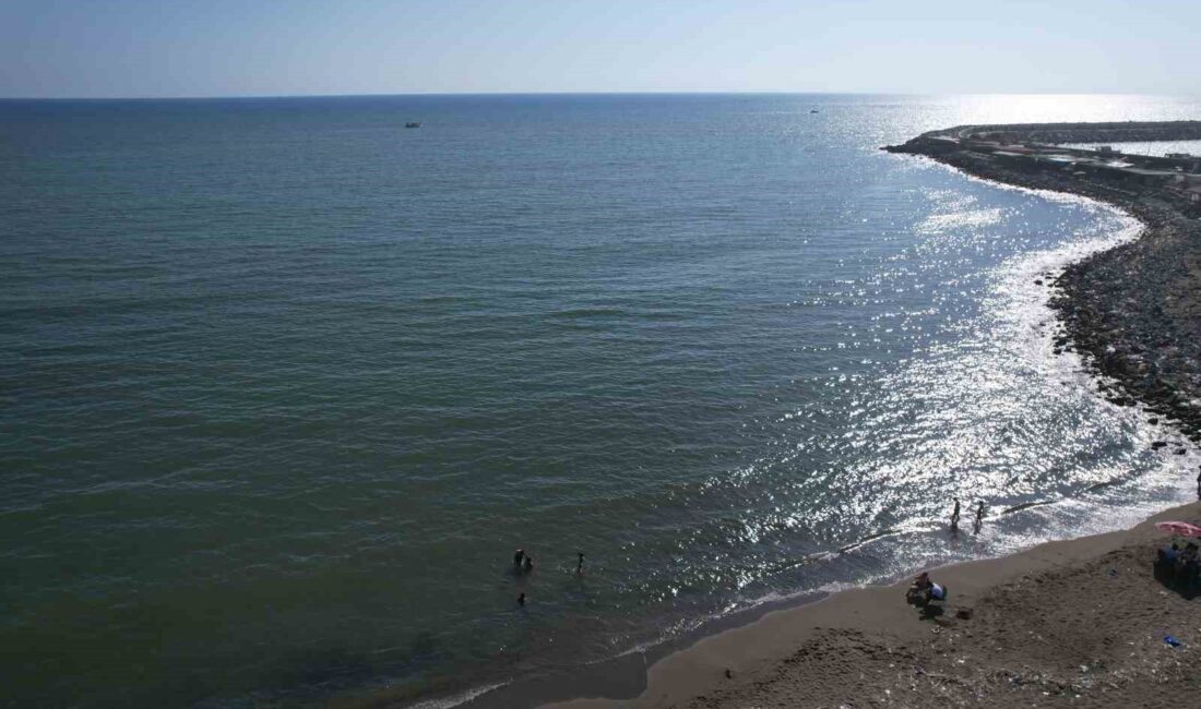 İSKENDERUN TEKNİK ÜNİVERSİTESİ (İSTE)