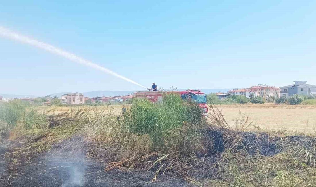 DENİZLİ'DE ÇÖPLÜK ALANDA ÇIKAN