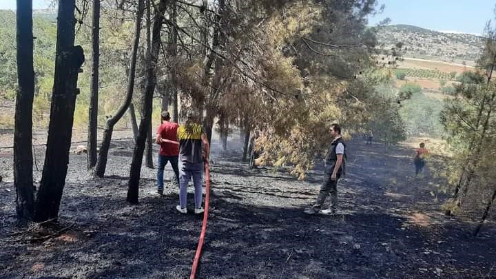 Denizli’de orman yangını kısa sürede kontrol altına alındı