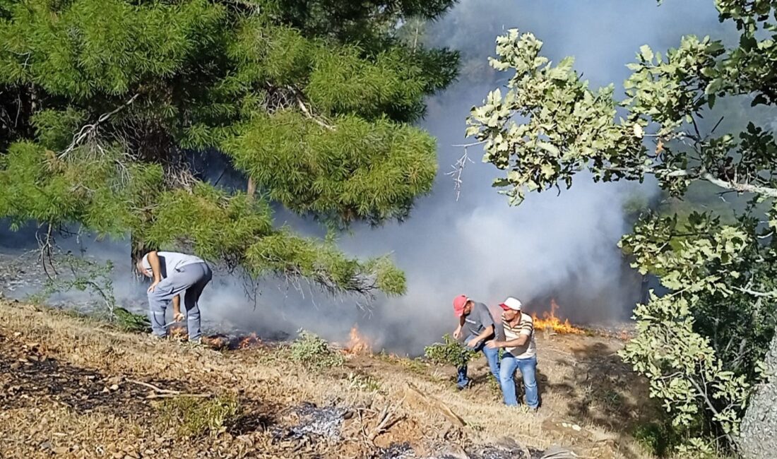 DENİZLİ’DE ORMANLIK ALANDA YANGIN