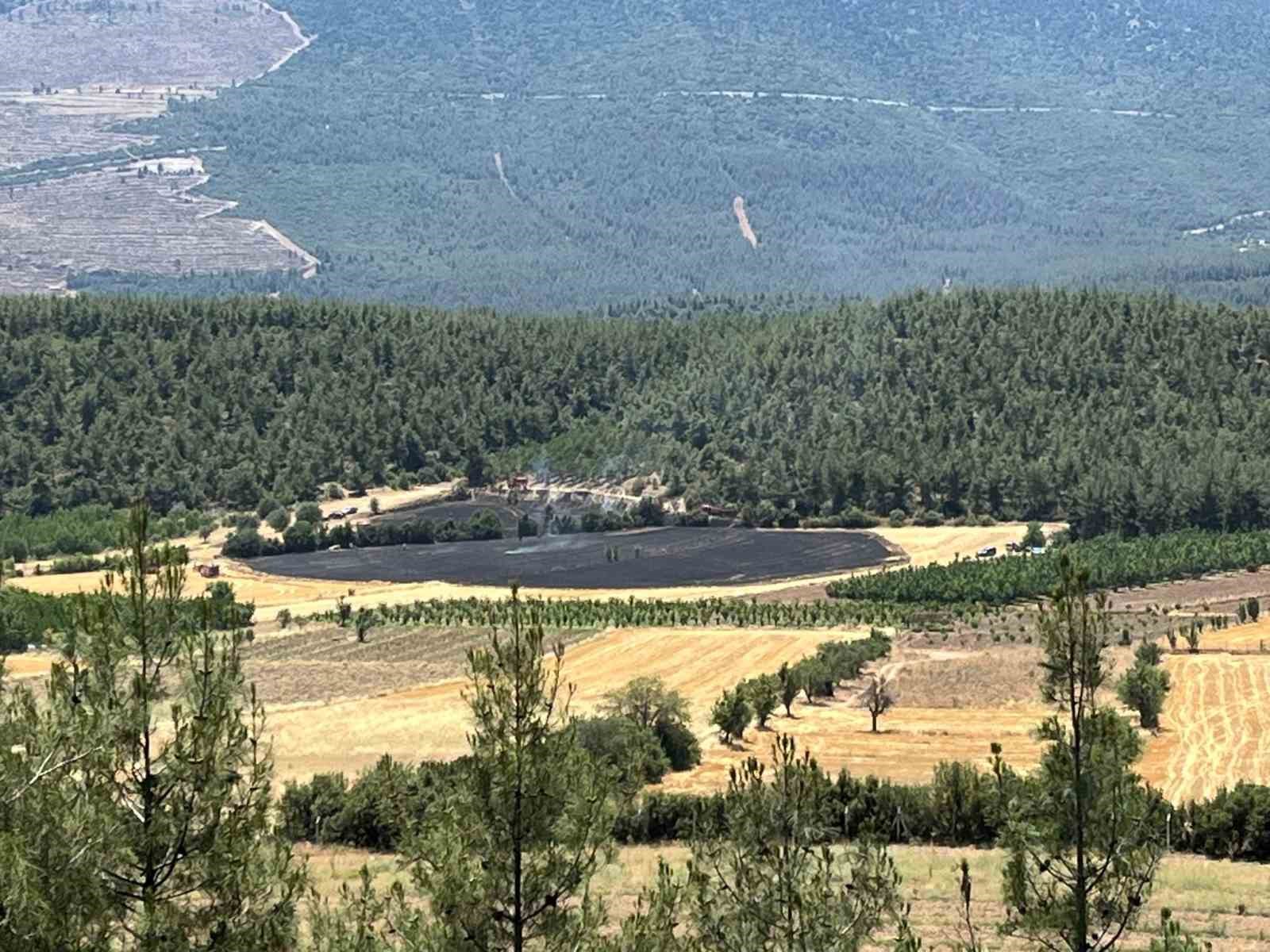 Denizli’de ormana yakın bölgede çıkan yangın söndürüldü