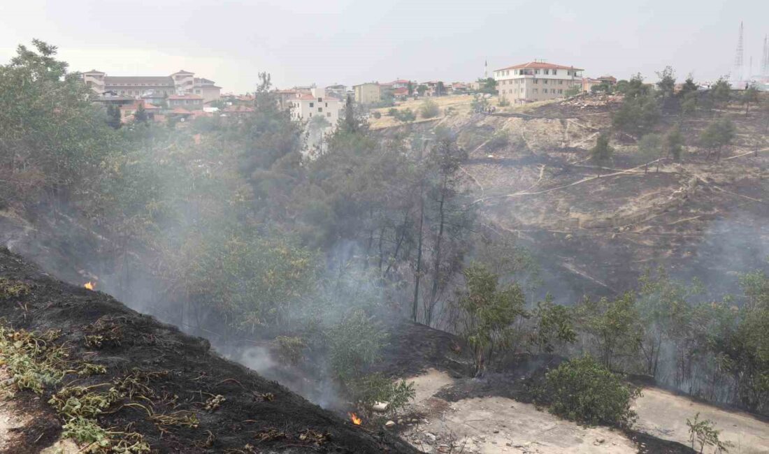 DENİZLİ’DE ORMAN YANGININ YERLEŞİM