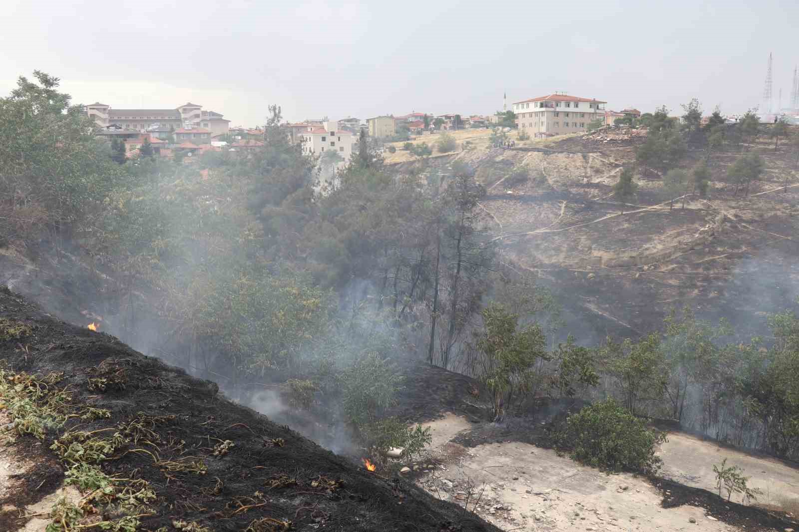 Denizli’deki orman yangınına  havadan ve karadan müdahale ediliyor