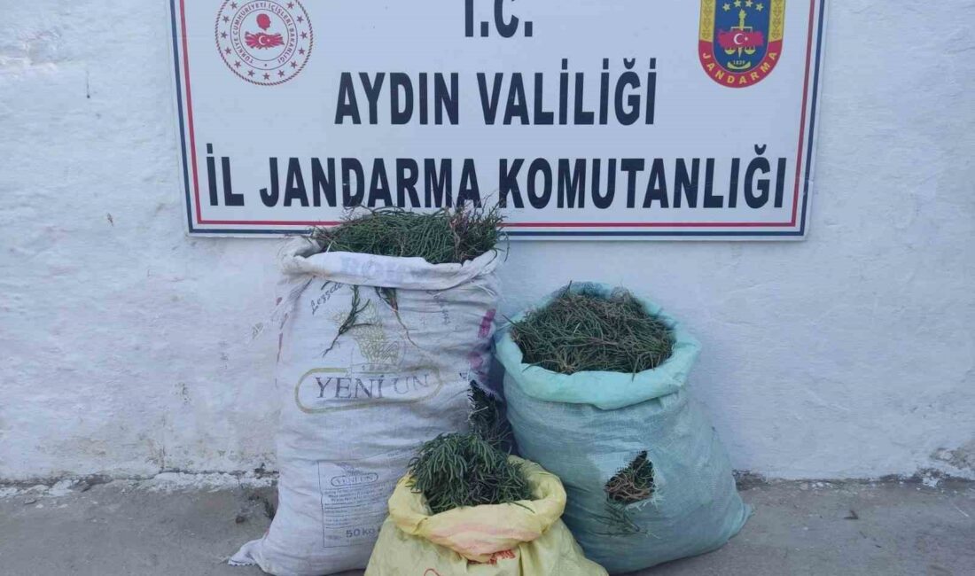 AYDIN'IN DİDİM İLÇESİNDE JANDARMA