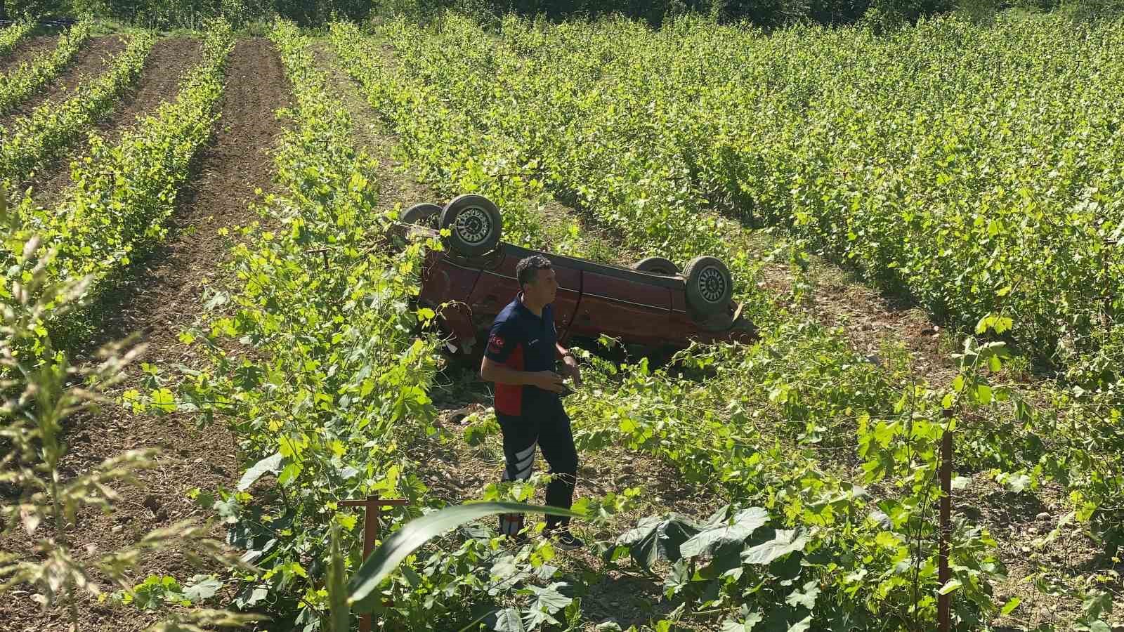 Direksiyon hakimiyetini kaybetti: Üzüm bağına devrildi