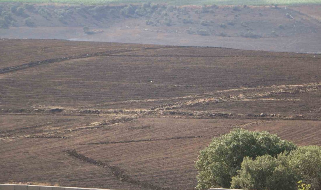 DİYARBAKIR'IN ÇINAR İLÇESİNDE 3