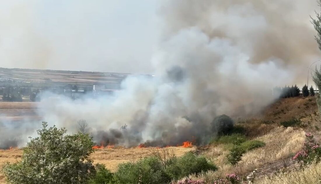 DİYARBAKIR’IN SUR İLÇESİNDE BUĞDAY