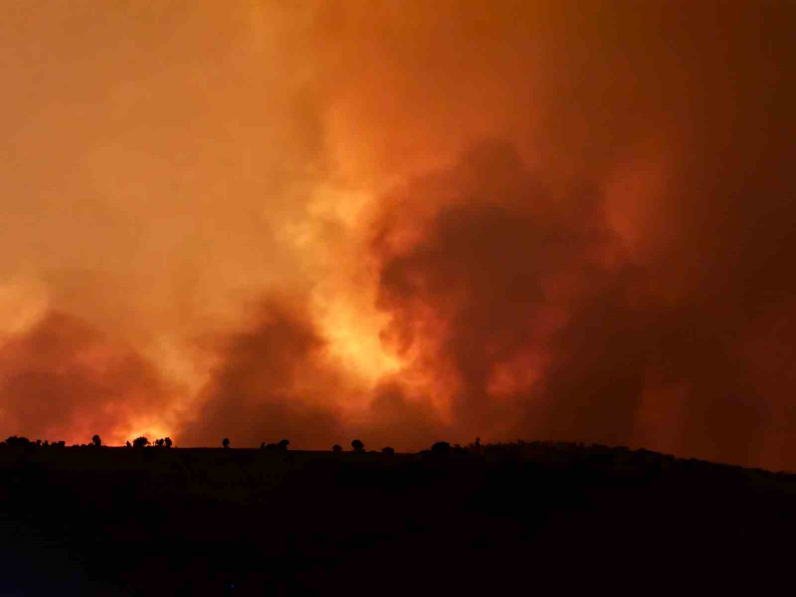 Diyarbakır’da anız yangını: 3 ölü, 9 yaralı