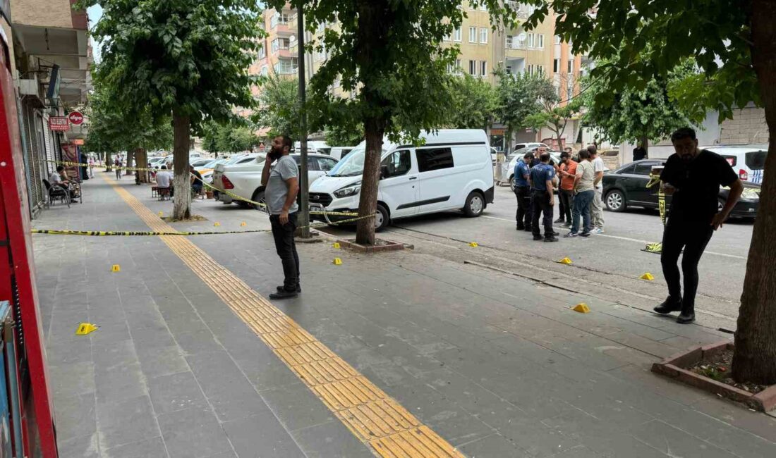 DİYARBAKIR’IN YENİŞEHİR İLÇESİNDE ARALARINDA