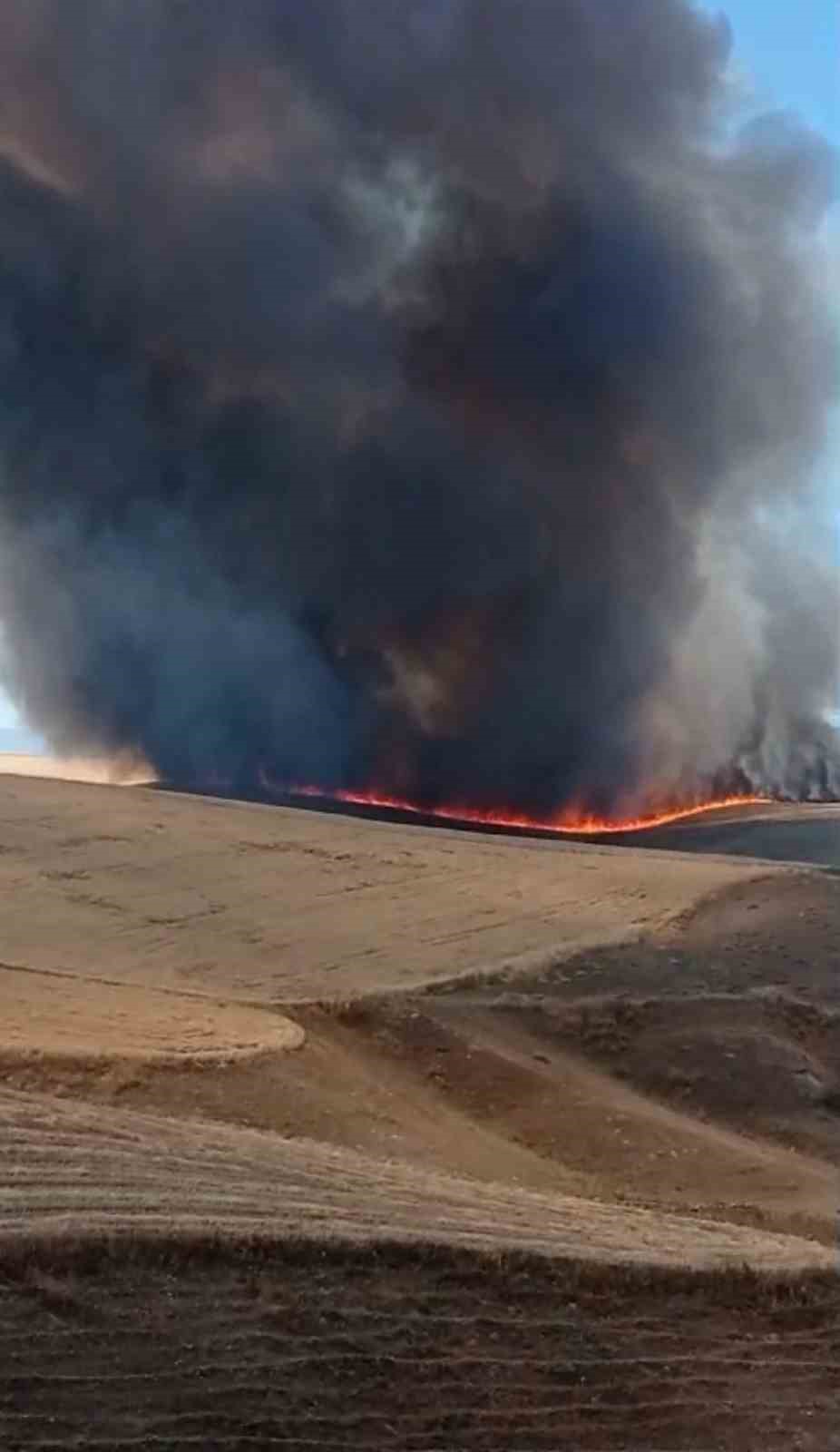 Diyarbakır’da bin dönümlük arazi küle döndü