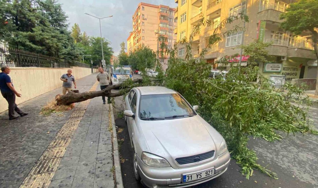 DİYARBAKIR’IN MERKEZ YENİŞEHİR İLÇESİNDE