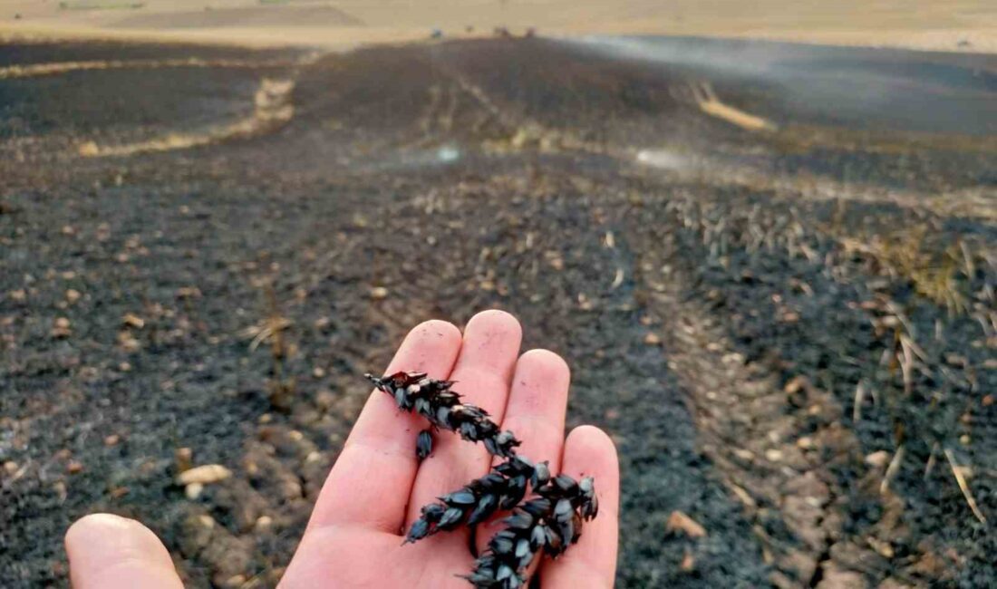 DİYARBAKIR’IN SİLVAN İLÇESİNDE 130