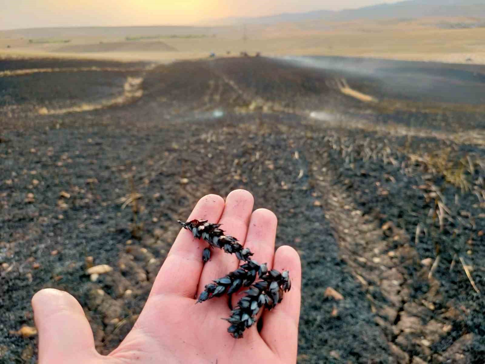 Diyarbakır’da ekin tarlasında yangın