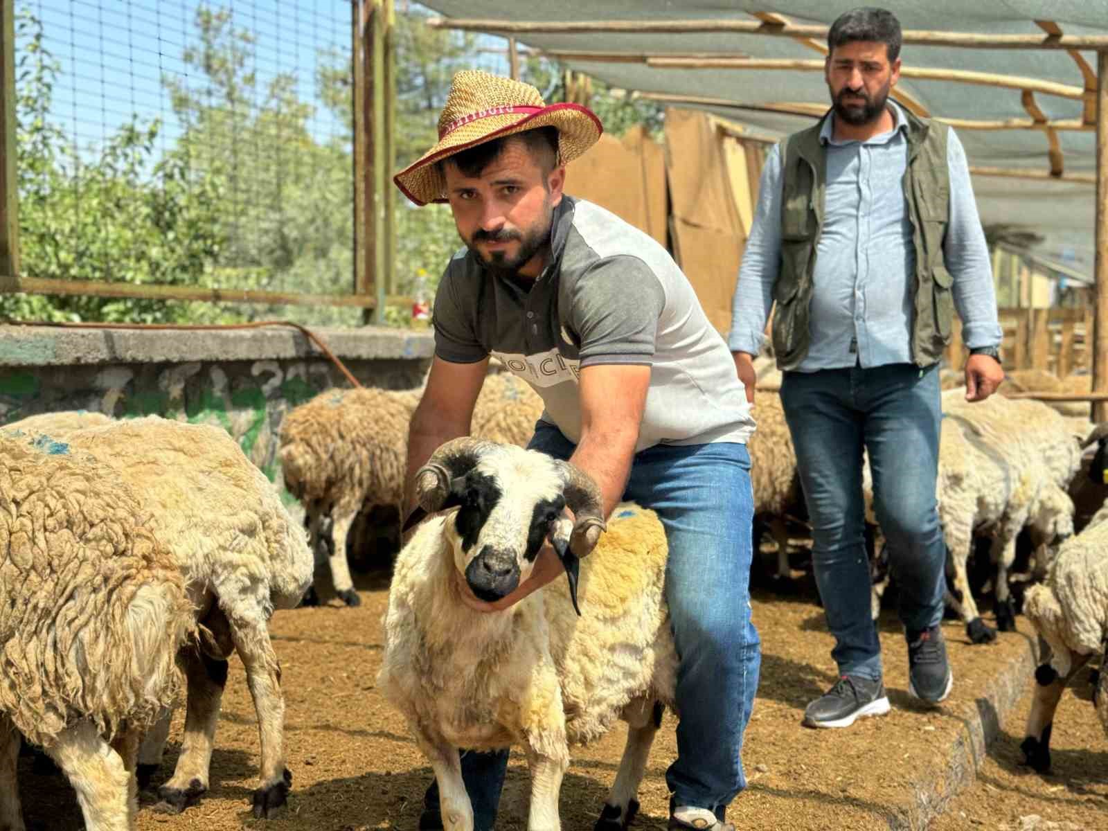 Diyarbakır’da hayvan pazarlarında bayramın son günü yoğunluk arttı