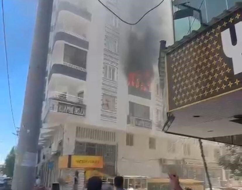 DİYARBAKIR’IN MERKEZ BAĞLAR İLÇESİNDE