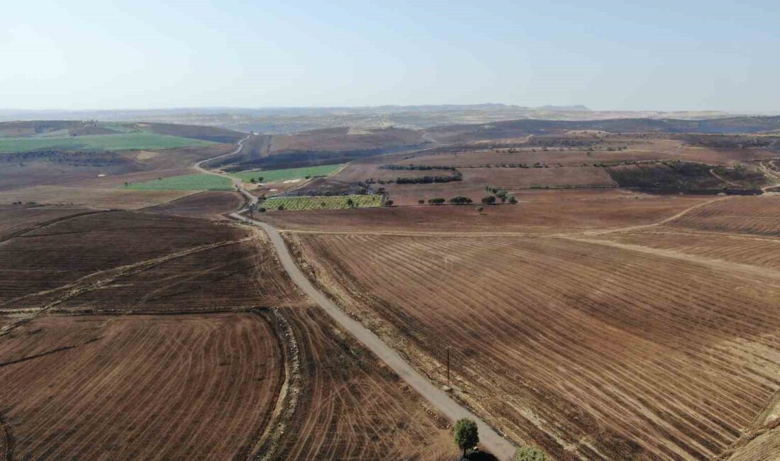 DİYARBAKIR’IN ÇINAR İLÇESİNDE 3