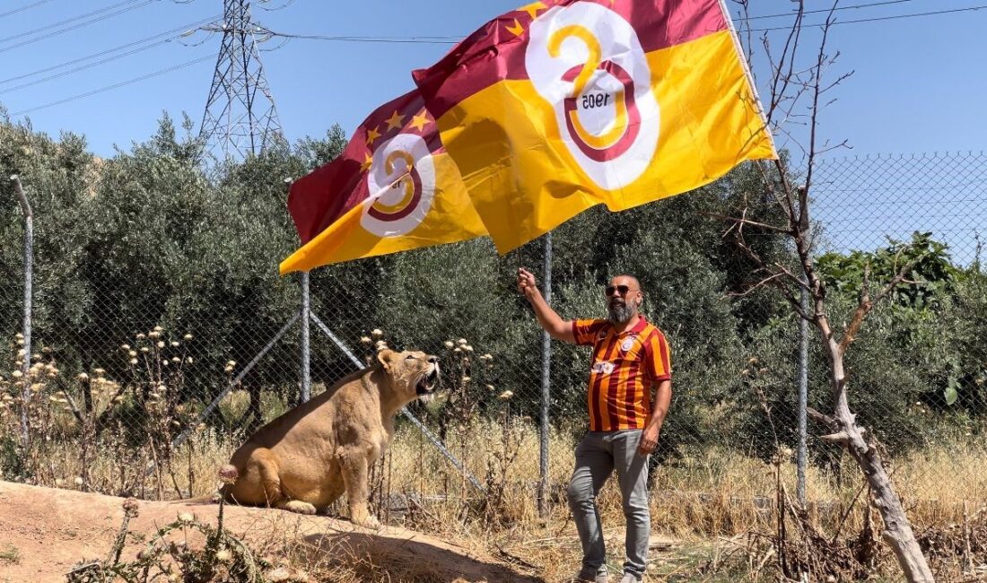 KUZEY IRAK’IN DUHOK ŞEHRİNDE