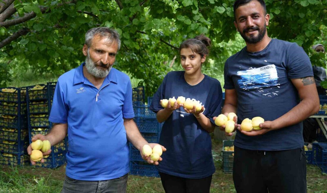 DOĞU ANADOLU'NUN İNCİSİ IĞDIR'DA