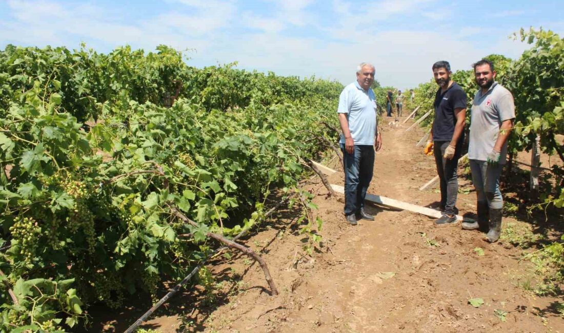 MANİSA’NIN ALAŞEHİR İLÇESİNDE DÜN