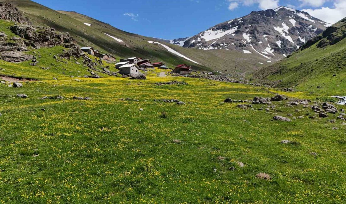 GÜMÜŞHANE'NİN EN YÜKSEK NOKTASI