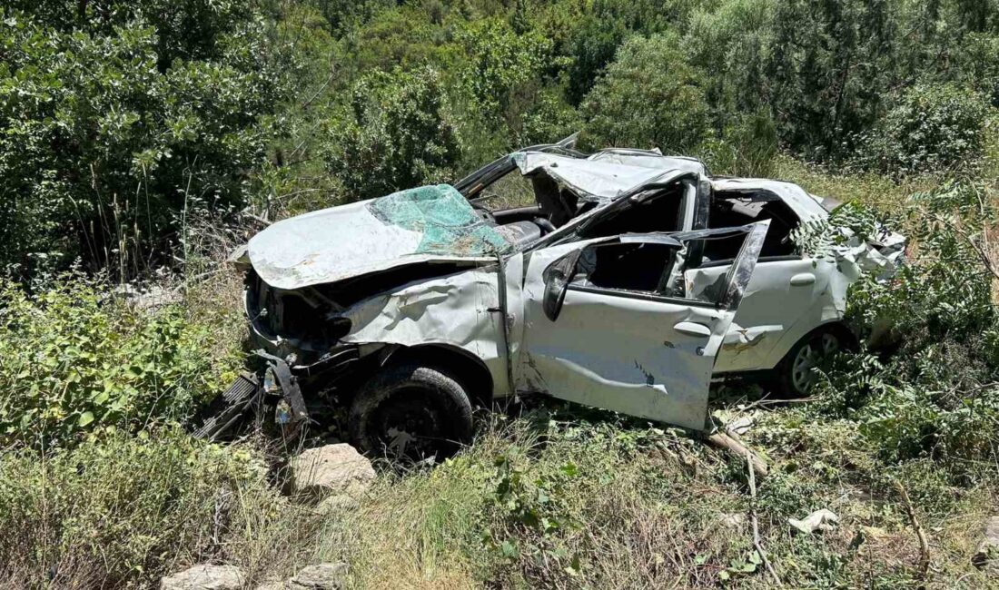 BALIKESİR'DE DURSUNBEY-KÜTAHYA YOLUNDA MEYDANA