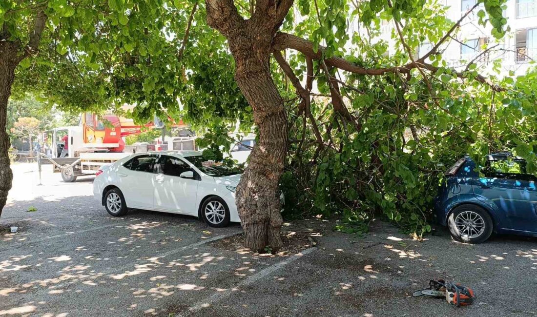 MANAVGAT IRMAK KENARINDA PARK