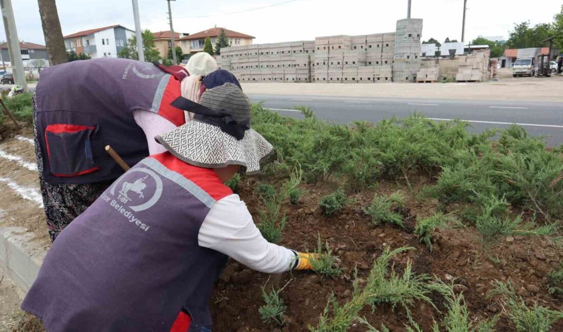 DÜZCE BELEDİYESİ YAZ AYLARININ