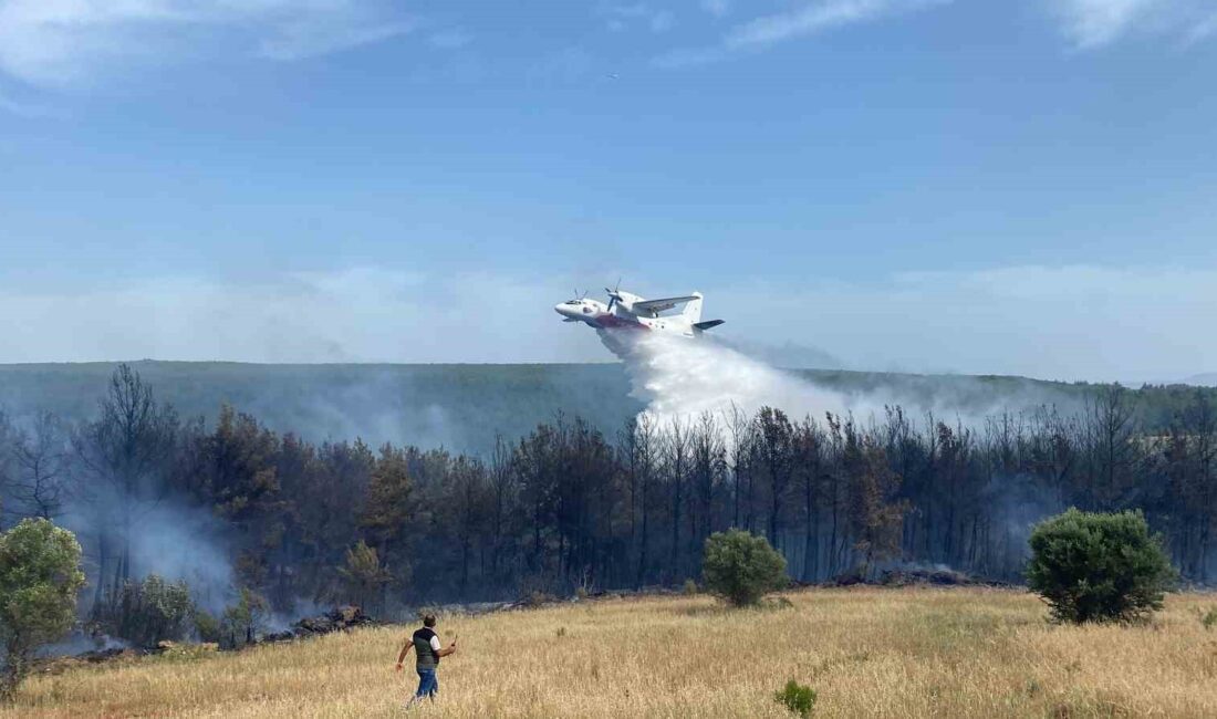 ÇANAKKALE’NİN ECEABAT İLÇESİNE BAĞLI