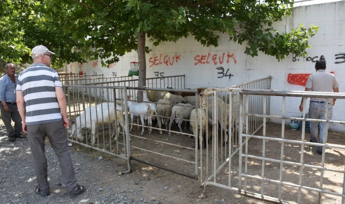 BALIKESİR’İN EDREMİT BELEDİYESİ KURBAN