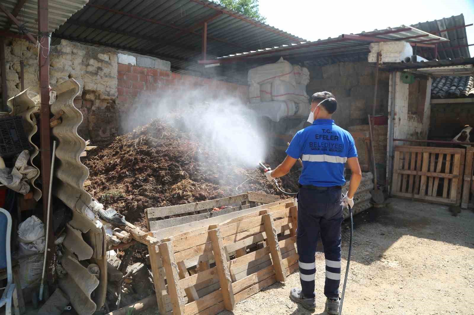 Efeler’de ilaçlama çalışmaları hızla sürüyor